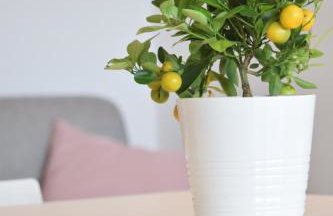 Seafront apartment in Villa , near Rome - Foto 15