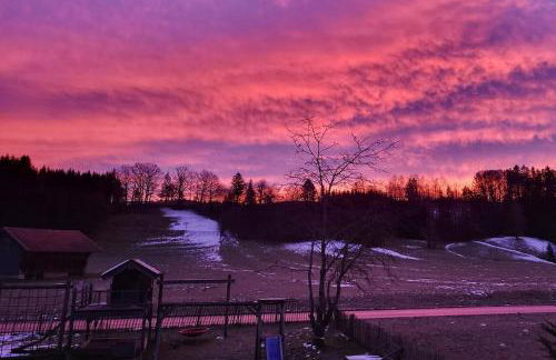 Ferienwohnung in Niederhasling - Foto 22