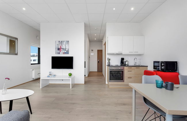 Blue Mountain Apartments by Heimaleiga - Foto 62