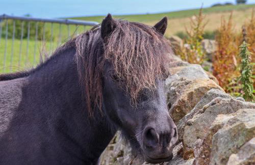 Dairy Cottage - Foto 32