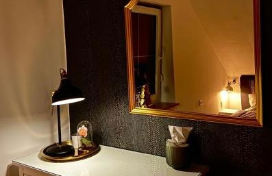 Luxus Ferienhaus Erzgebirge in Alleinlage - Foto 19