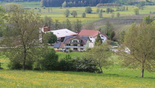 Ferienhof Hopfgärtle Müller - Foto 4