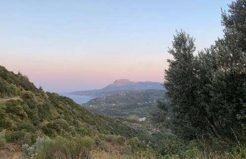 Sterna Suites - Photo 46