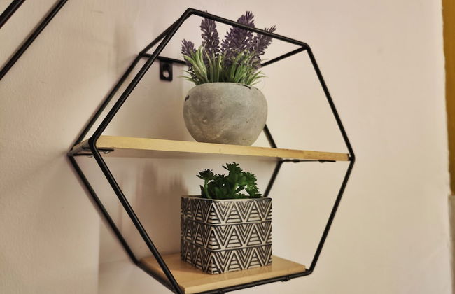 Oddity Studio By Paradox - Foto 30