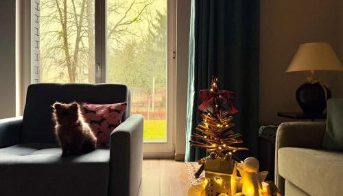 Apartament Magia Puszczy z widokiem na Puszcze Białowieska - Foto 2