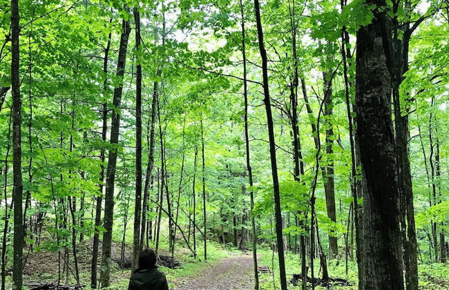 Pine Brae Eco-Resort - Photo 27