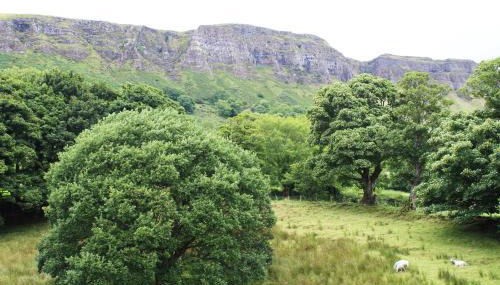 Kilmore Country House - Foto 4