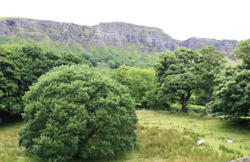 Kilmore Country House - Foto 4