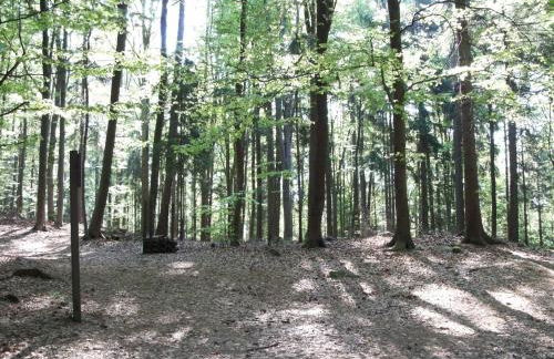 Blockhaus Hedwig Haus 10 - Photo 21