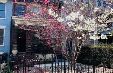 Amma's Place - Foto 1