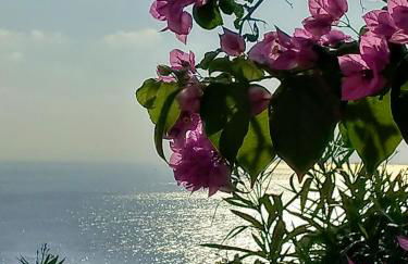 VILLINO BRUNETTO azienda agrituristica - Foto 35