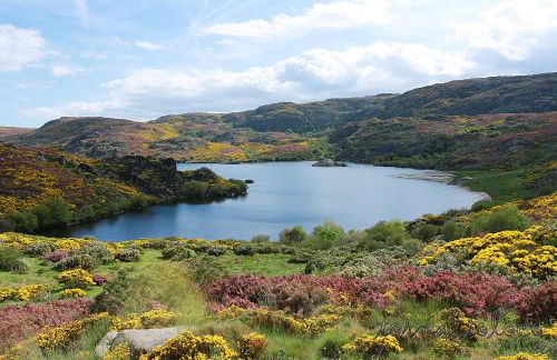 Apartamentos Sanabria - Foto 39