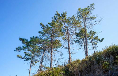 La Caletta Corsa Apartments - 2 Camere con Terrazza Privata, Aria Condizionata, 100m dal Mare - Foto 10