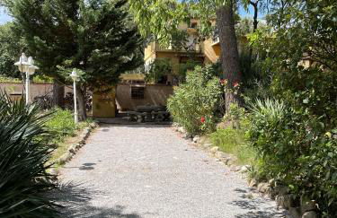 Gites de la Massane - Foto 19