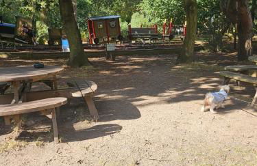 Fawn Lodge, Kelling Heath - Woodland Setting and Pets Welcome - Photo 16