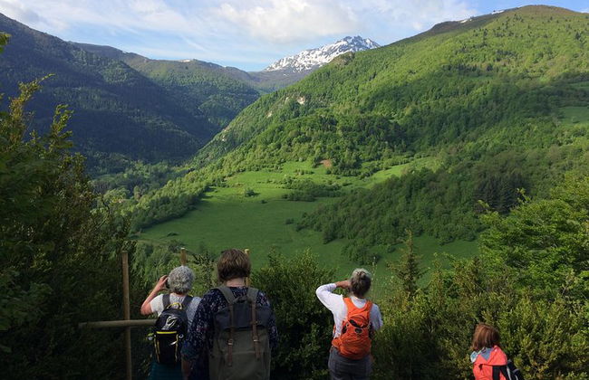 Excursion d'une journée à Montségur et Mirepoix. Visite privée au départ de Toulouse. - Photo 3