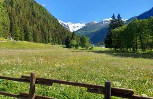 Chez Umbus, centrale e immerso nel verde, grande terrazzo - Foto 58