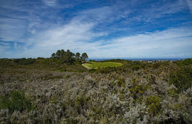 2 Sheerline - Foto 14