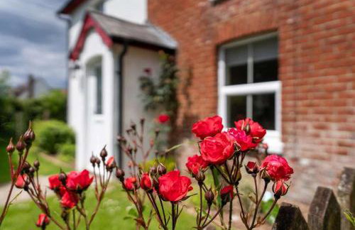 Rose cottage - Foto 35