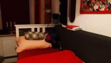 Ferienwohnung 60 qm - Foto 4