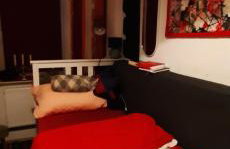 Ferienwohnung 60 qm - Foto 4