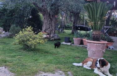 Farfalle in fiore Guesthouse - Foto 29