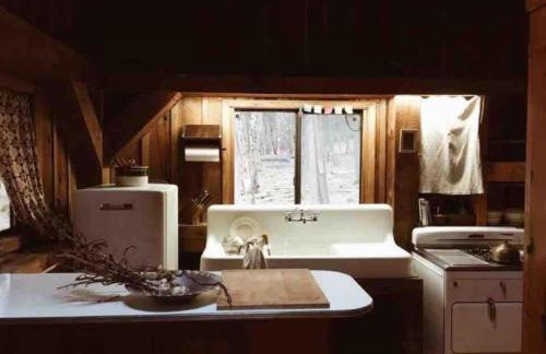 Rustic Cabin Retreat on the Ten Mile River in Narrowsburg, New York - Foto 69