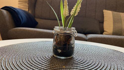 Ferienhaus Nordlicht - Foto 4