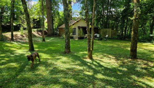 Gite L'Atelier studio de plain pieds accès piscine - Foto 4