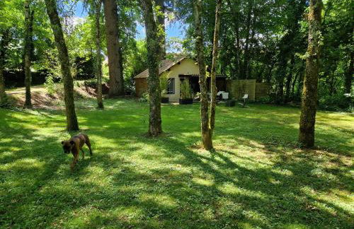 Gite L'Atelier studio de plain pieds accès piscine - Foto 4