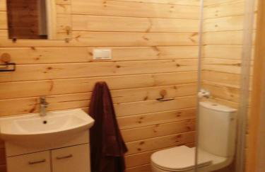 Domki w brzozach - Foto 26