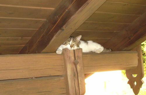 Ferienpension Posthof - Foto 31