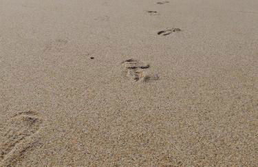 Bica, luxury heated penthouse with jacuzzi and large terrace in Baleal - Foto 56