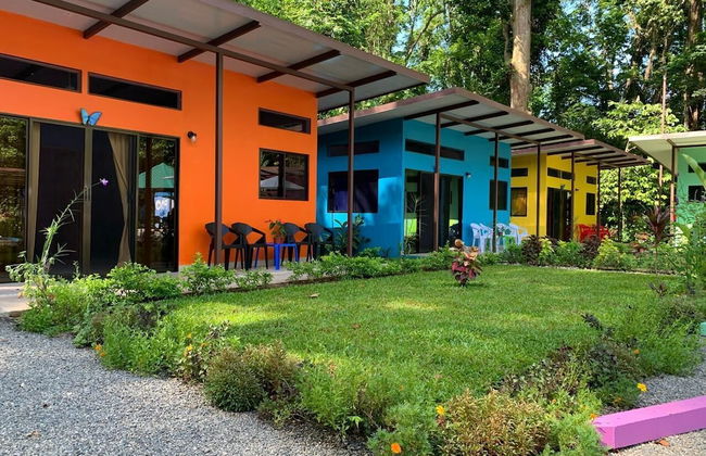 Caribbean Blue Morpho - Foto 1