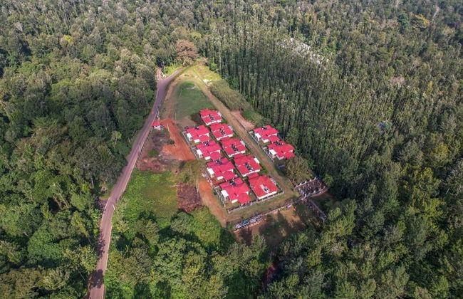 Goldenoaks Resort - Foto 9