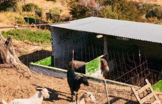 Oak Farm Traditional guesthouse - Foto 36