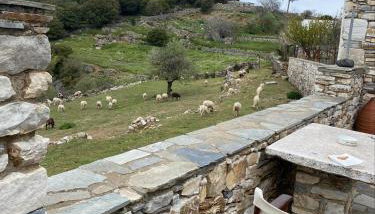 Fabrica apartments - Foto 2