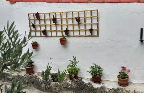 CASA RURAL "ECCEHOMO de BORJA" - Foto 30