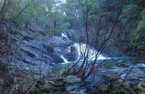 Santiago Afife Beach - Photo 25