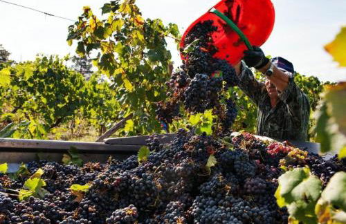 Apartment Anwesen mit Gemeinschaftspool by Interhome - Foto 37