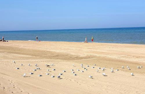 Plazza front de Mer - Photo 39