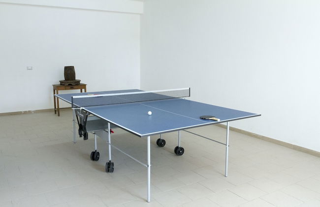 Viola nel Parco - Foto 58