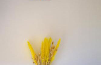 Le jungle, hyper centre, balcon et terrasse - Photo 19