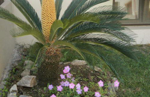 Amari Hotel - Photo 29