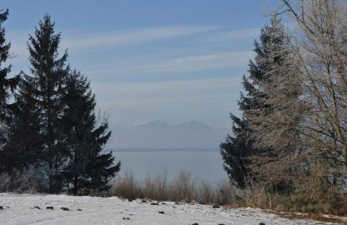 Ferienwohnung Chiemseestrand Nr. 16 - Photo 18