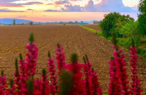 Elegant apartment in resort with swimming pool featuring nature and tranquillity - Foto 39