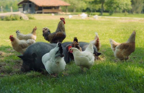 Casa Rural Jesuskoa - Foto 62