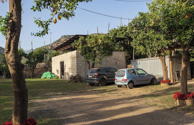 Giardino di Nonno Lucio - Foto 45