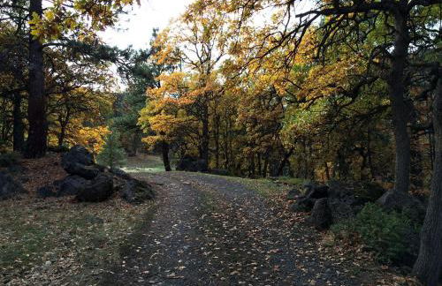Stunning Log Cabin Rental with Breathtaking Views in Tygh Valley, Oregon - Foto 28
