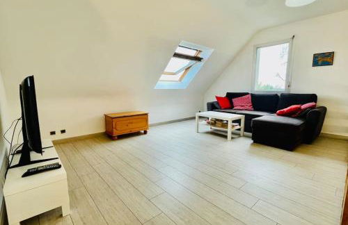 Steredenn vor - L'étoile de Mer - Foto 12